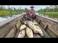 Download Lagu Gila betul spot kali maro Merauke, ikan kakapnya monster=monster