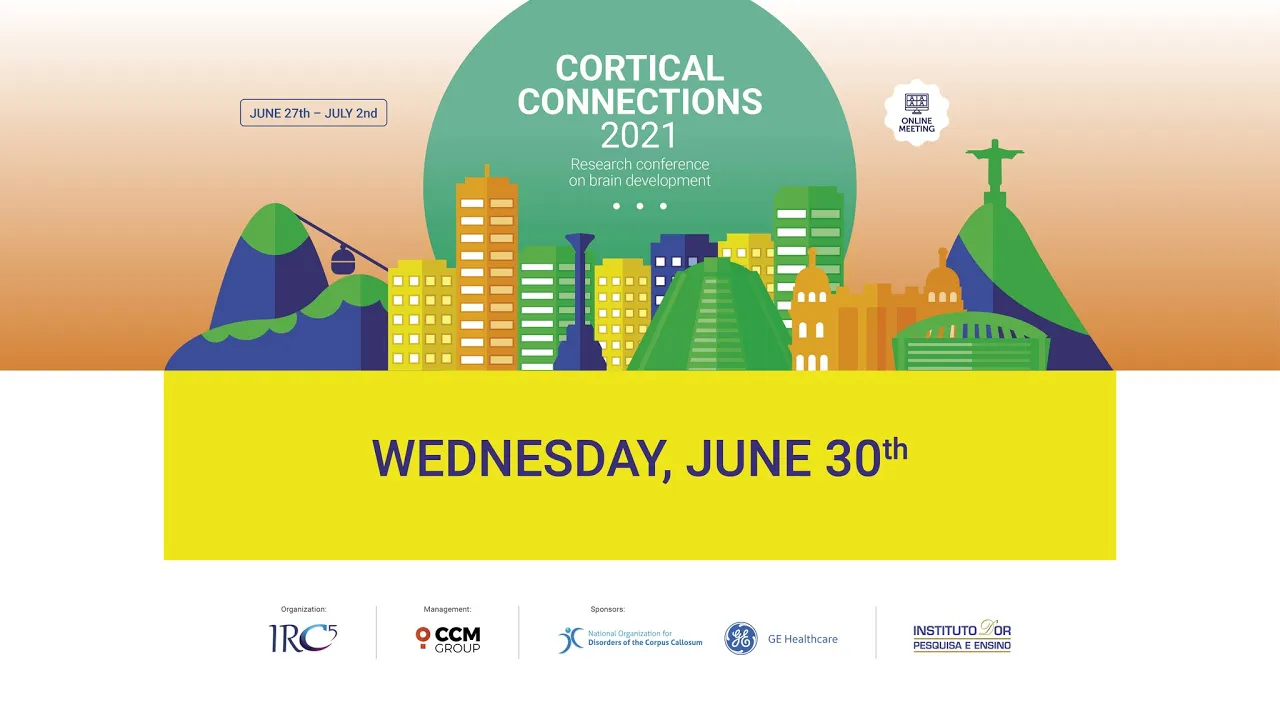 Cortical Connections - June 30th