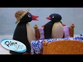 Download Lagu Pingu and Pinga Don't Want to Go to Bed | Pingu Official | 1 Hour | Cartoons for Kids