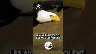 Loi D Affinité Comment La Nature Nous Rassemble Ensemble Entourage Loidaffinité ByDemba 