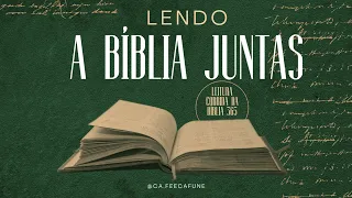 Bíblia 365 Dia 44 NAA