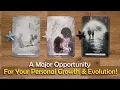 What are Your Biggest Opportunities for Growth Right Now Pick A Card Timeless Tarot Readings