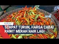 Download Lagu Sempat Turun, Harga Cabai Rawit Merah Naik Lagi