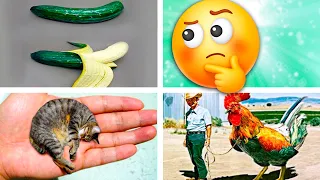 20 Cosas que NO Sabías hace 5 minutos ⏰😲