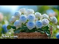Download Lagu Beautiful music for the soul🌺 Autumn Melody🌿Beautiful music by Sergey Grischuk #2