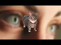 RAINBOW - OIIA OIIA (Spinning CAT)