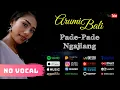 Pade - Pade Ngajiang - Arumi Bali (Karaoke No Vocal)