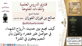 كيف نجمع بين حديث  أرواح الشهداء في حواصل طير خضر  وأن النعيم يكون في القبر  للشيخ صالح الفوزان دندنها