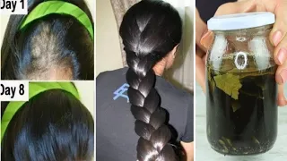 The Indian Secret 🌱 Hair grows like crazy and does not fall out, treats baldness,