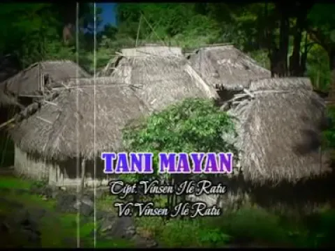 Download MP3 LAGU POP DAERAH FLORES TIMUR NTT-TANI MAYAN-2019_vinsen Ile ratu