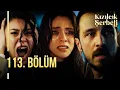 Kızılcık Şerbeti 113. Bölüm @showtv