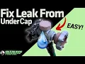 How To Fix Water Leak Under the Cap EASY Outdoor Hose Faucet Spigot Replace Vacuum Breaker