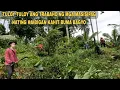 Download Lagu PAGTATABAS NG NIYOGAN SA AREA 5 TULOY ANG TRABAHAO KAHIT NA BAGYO