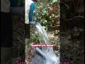 Download Lagu Sumber Air yang diambil dari mata air untuk melayani masyarakat dusun #shorts