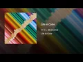Life In Color - 빈지노 (Beenzino)