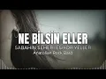 Lagu Ne Bilsin Eller - Sabahın Seheri Esiyor Yeller -  Anatolian Rock! (Female AI Cover)