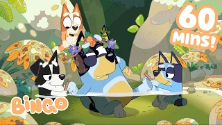 Down By The Creek 🏝️🧡 | Learning To Explore With BIngo | ﻿Bingo - Official Channel