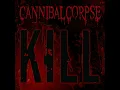 Make Them Suffer - Cannibal Corpse