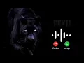 Download Lagu black panther ringtone devil😈😈