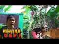 Lagu MALING SAPI | Exstrim Lucu The Series | Funny Videos 2022 | KEMEKEL TV.