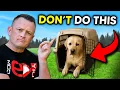 STOP Making These 4 BIG Mistakes With Your Dog