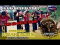 Download Lagu KALAPAN TERBARU‼️ADA BANTENG TERBANG‼️PUTRA SUMBER BANTENG live Sumbul Singosari