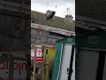 Download Lagu I'd say the starling is giving out cos the jackdaw is over at the food