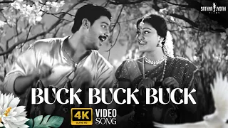 buck buck buck 4k remastered video song parthiban kanavu movie srikanth sneha vidyasagar