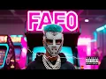 ANSOS - FAFO Visualizer