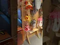 Let s go to a crazy pet store