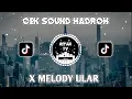 Download Lagu CEK SOUND HADROH X MELODY ULAR VIRAL TIK TOK  by Riyan ansor