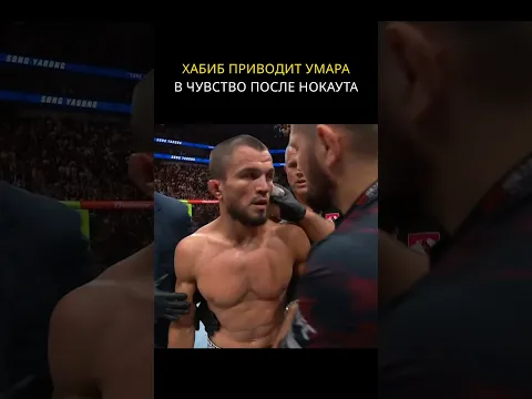 Офигеть 🤯 Ядонг вырубил Умара Нурмагомедова