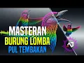Lagu MASTERAN BURUNG LOMBA MATERI PALING DI SUKAI JURI DI ARENA PERLOMBAAN