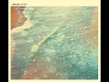 Manual - Water and Light