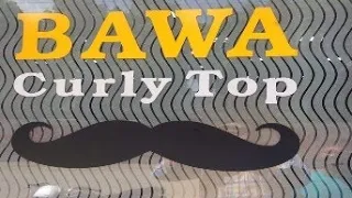 vlog 30 my new look gujral sardaari viral pb10walesardaar beard beardcurling bawacurlytop