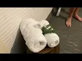 Float Orientation