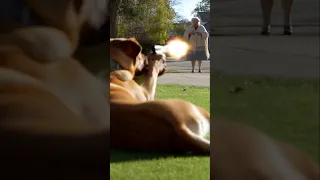 What A MISS Subscribe Futbol 