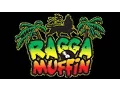 Download Lagu Oldschool Raggamuffin Dancehall Music 90's.