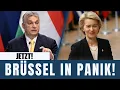 Lagu Orbán packt aus: Die dunkle Wahrheit über von der Leyen