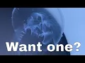 Do you really want a pet Jellyfish