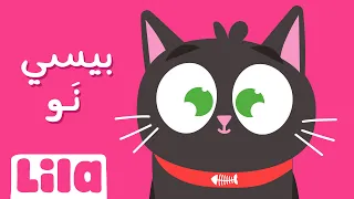 بيسي ن و ليلا تي في 