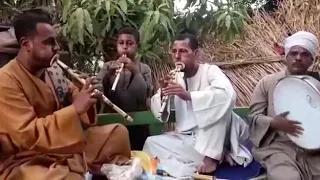 Egyptian Folk Flute Music مزمار الغاب الصعيدي 