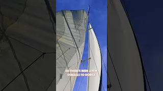 HOW BAD COULD THIS BE? #nopatience #sailboat