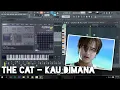Download Lagu The Cat - Kau Dimana (Karaoke) FL Studio