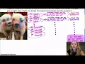 AP Statistics 4 2 4 Blocking and Matched Pairs Design