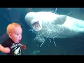 Download Lagu TRY NOT TO LAUGH | Funny Weekend At The Zoo - LAUGH TRIGGER