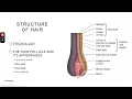 Esthetics Ch 11 Hair Removal