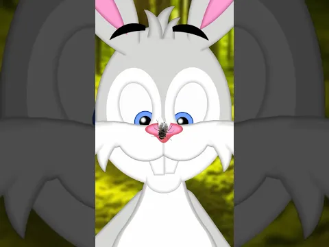 Little Robbie Rabbit 🐰  #kidssongs #nurseryrhymes #rabbitsong