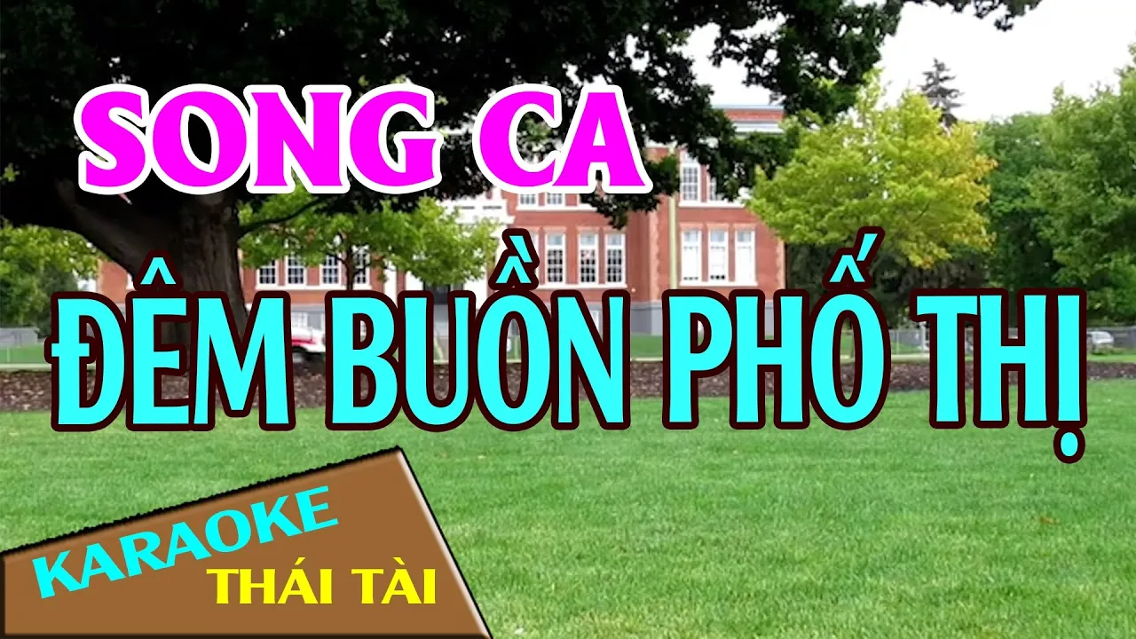 Karaoke Đêm Buồn Phố Thị Song Ca Nhạc Sống Thái Tài