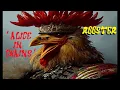 HQ FLAC  ALICE IN CHAINS -  ROOSTER  Best Version SUPER ENHANCED AUDIO & LYRICS